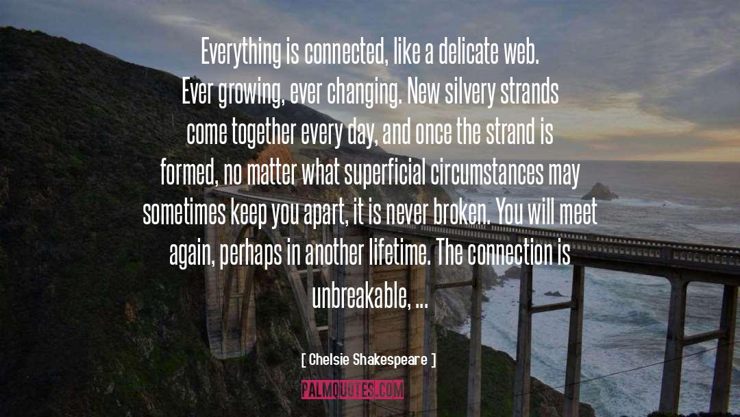 Chelsie Shakespeare Quotes: Everything is connected, like a