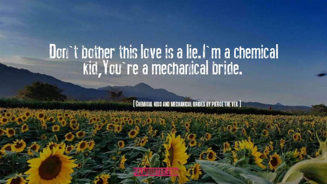 Chemical Kids And Mechanical Brides By Pierce The Veil Quotes: Don't bother this love is