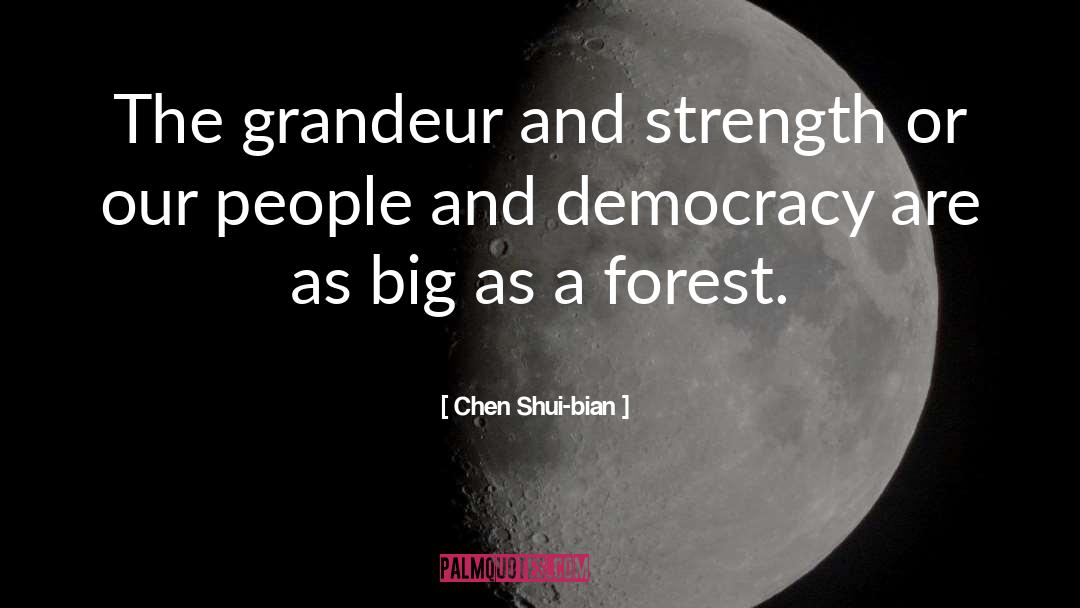 Chen Shui-bian Quotes: The grandeur and strength or