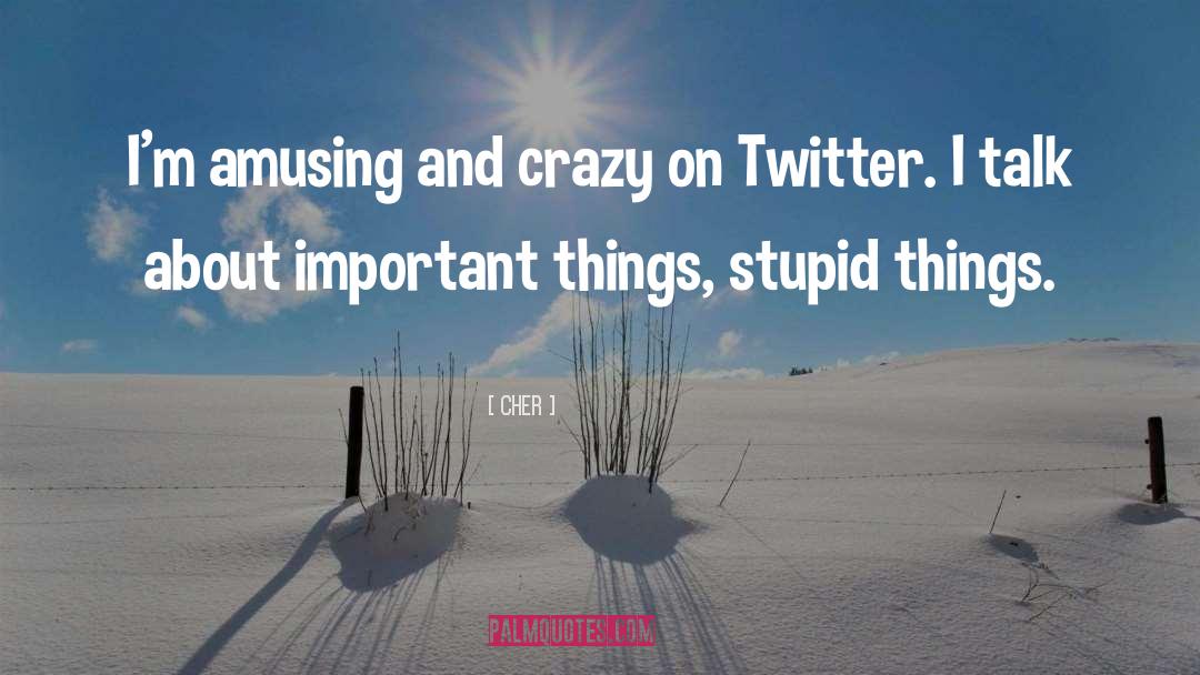 Cher Quotes: I'm amusing and crazy on