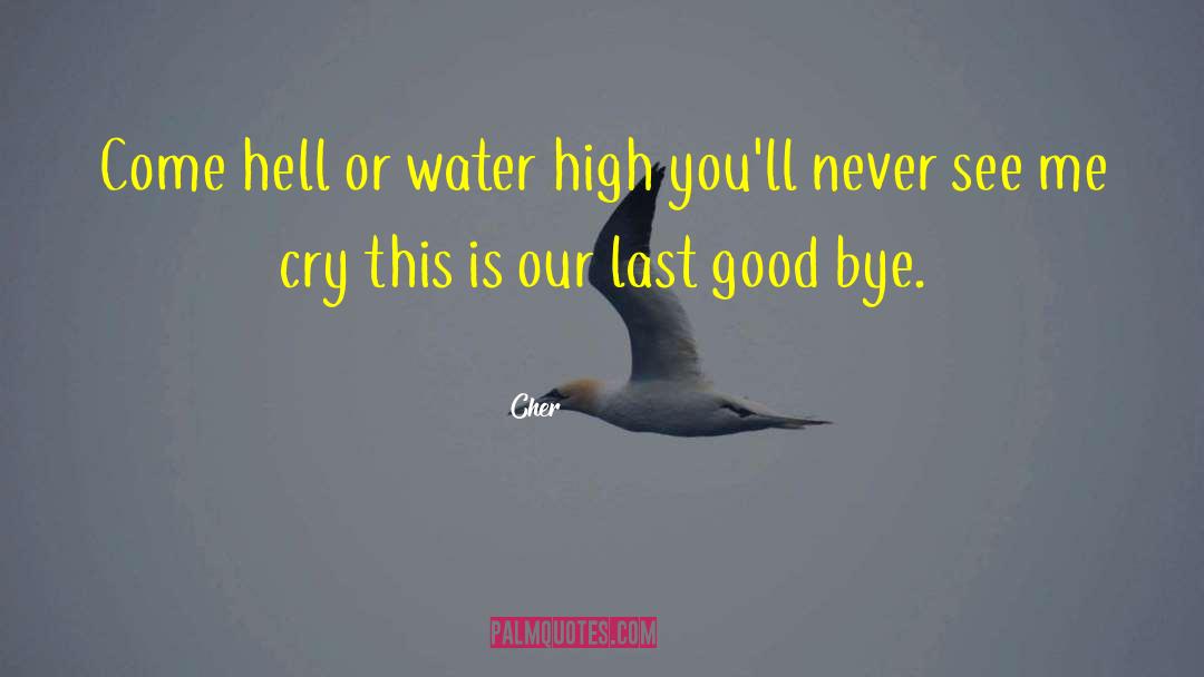 Cher Quotes: Come hell or water high