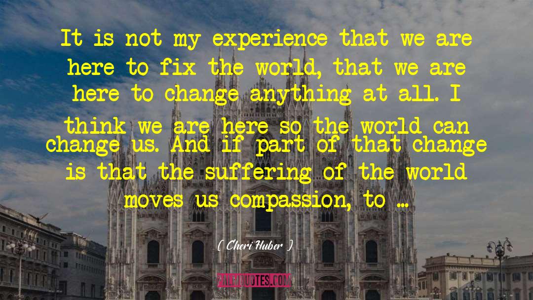 Cheri Huber Quotes: It is not my experience