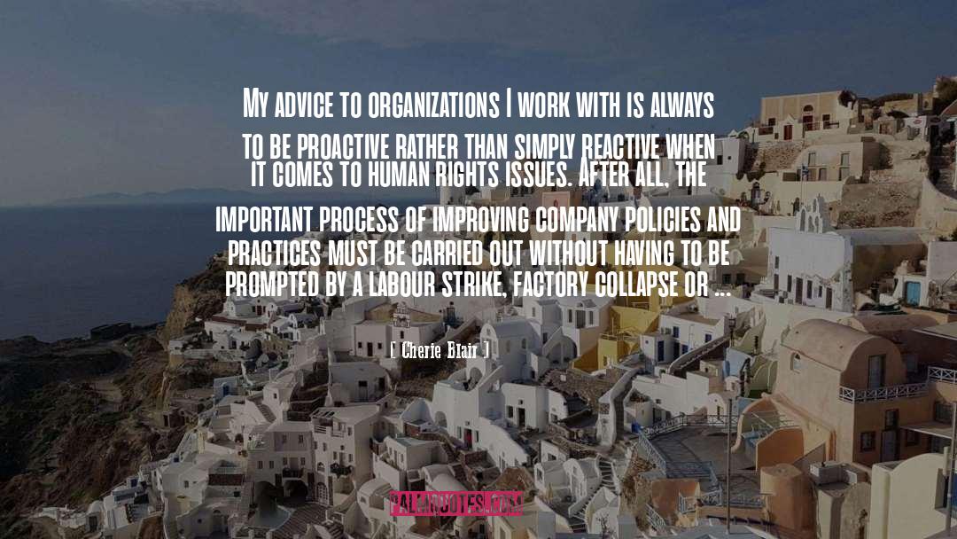 Cherie Blair Quotes: My advice to organizations I
