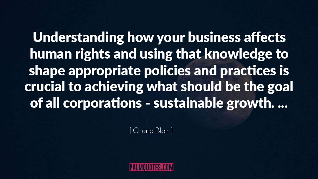 Cherie Blair Quotes: Understanding how your business affects