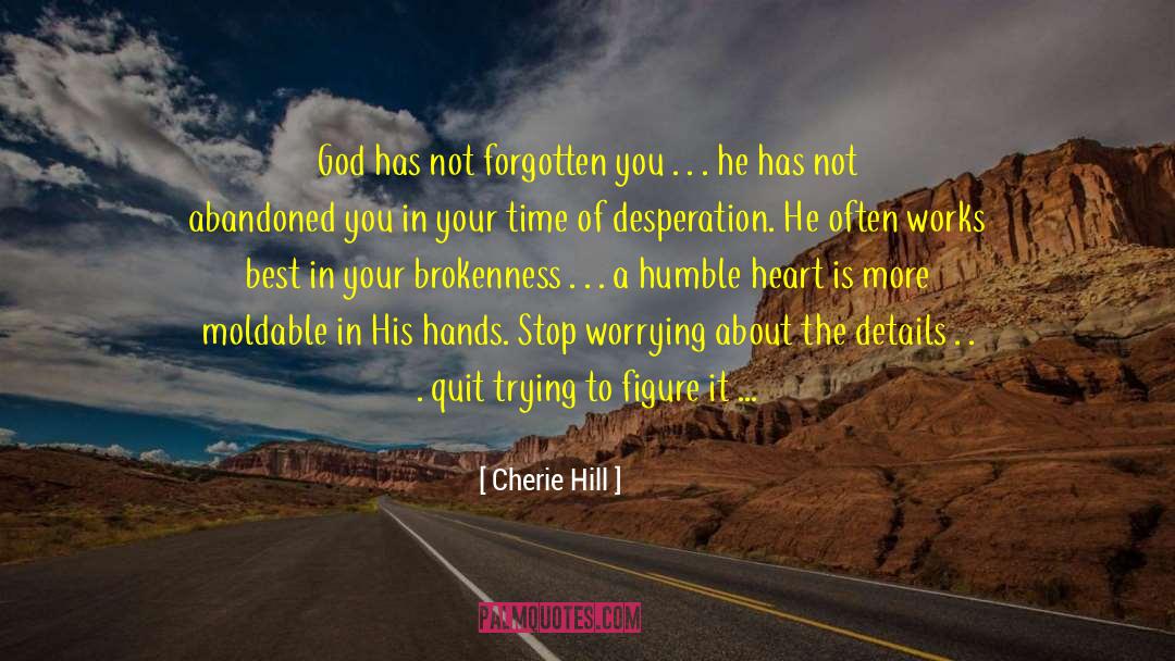 Cherie Hill Quotes: God has not forgotten you