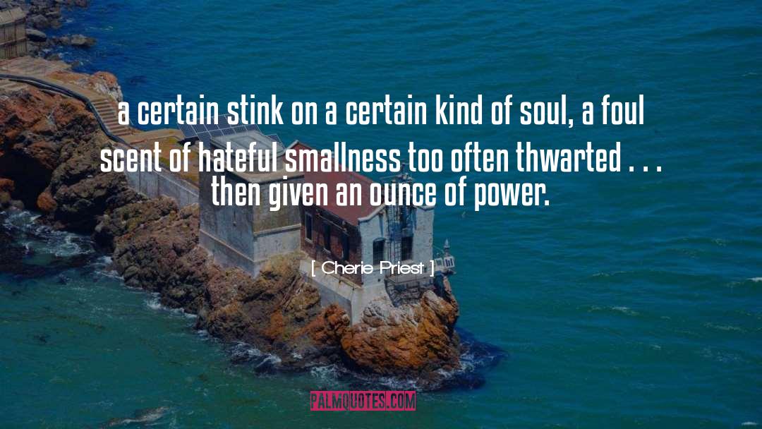 Cherie Priest Quotes: a certain stink on a