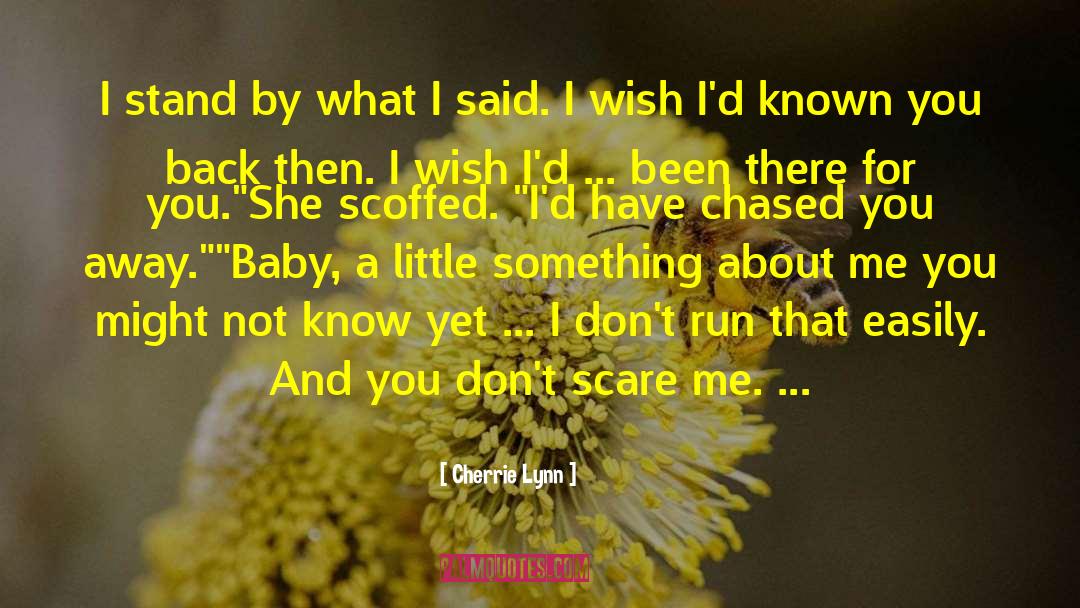 Cherrie Lynn Quotes: I stand by what I