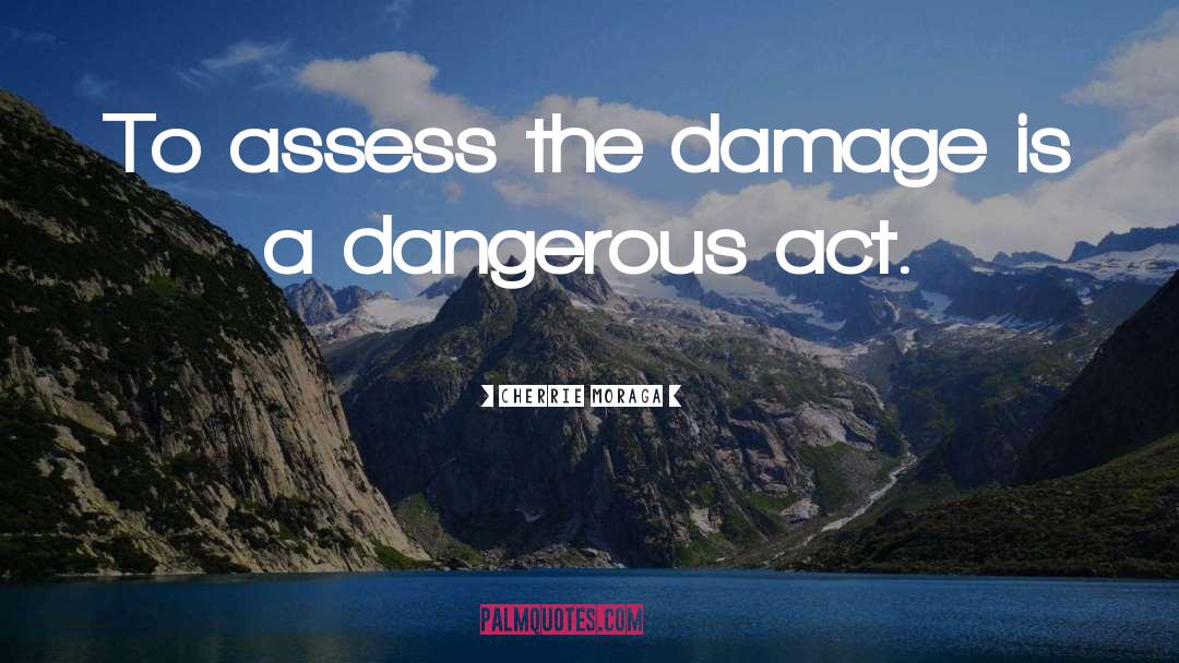 Cherrie Moraga Quotes: To assess the damage is