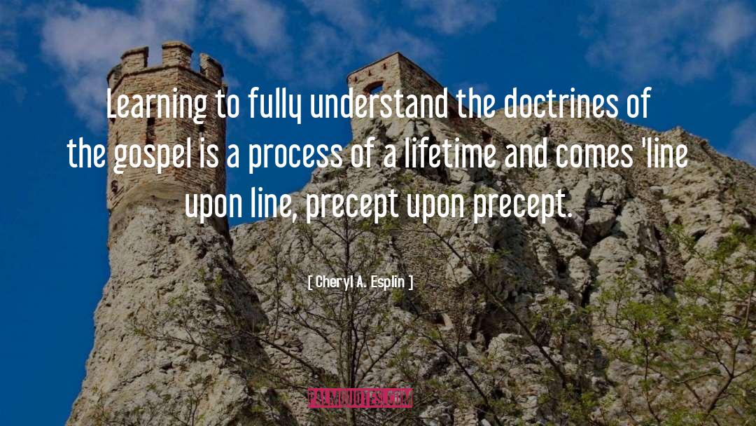 Cheryl A. Esplin Quotes: Learning to fully understand the