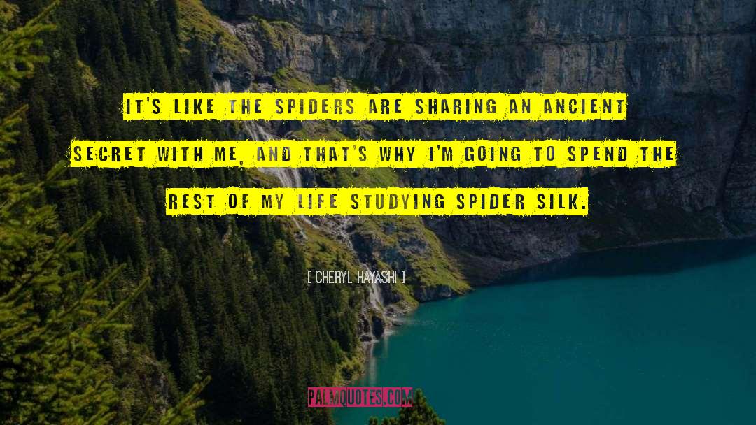 Cheryl Hayashi Quotes: It's like the spiders are