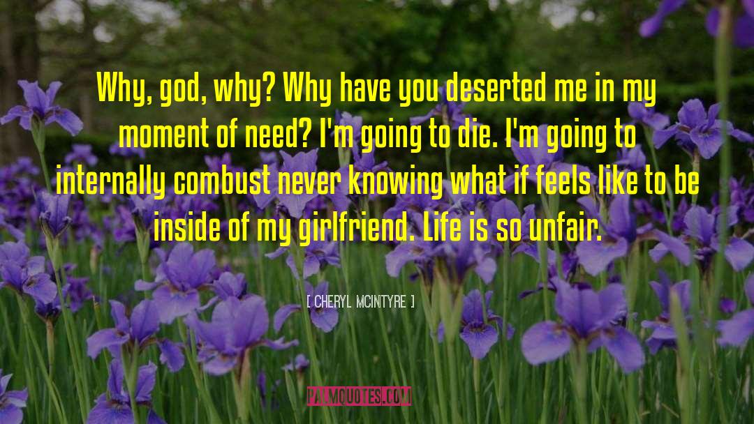Cheryl McIntyre Quotes: Why, god, why? Why have