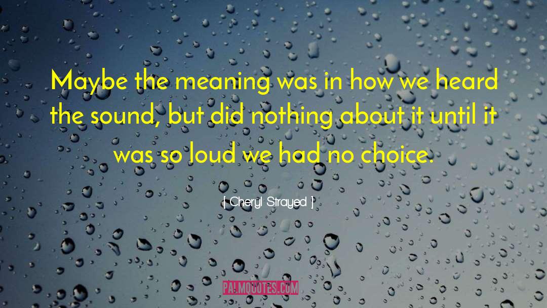 Cheryl Strayed Quotes: Maybe the meaning was in