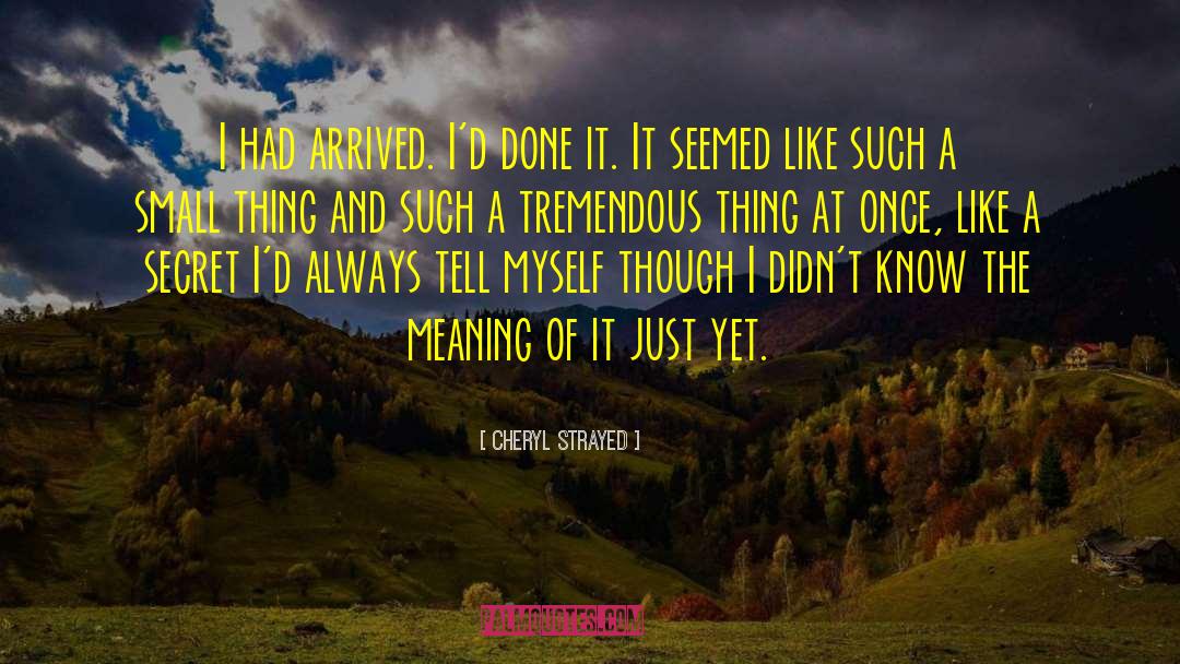 Cheryl Strayed Quotes: I had arrived. I'd done