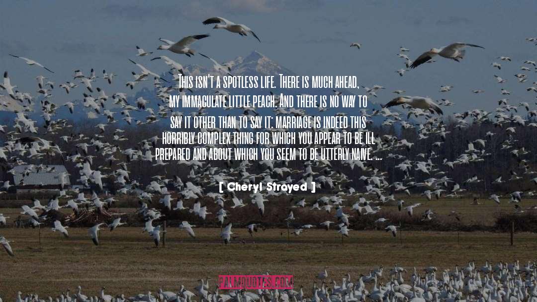 Cheryl Strayed Quotes: This isn't a spotless life.
