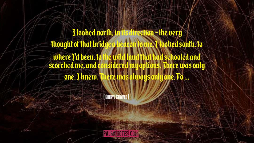 Cheryl Strayed Quotes: I looked north, in its