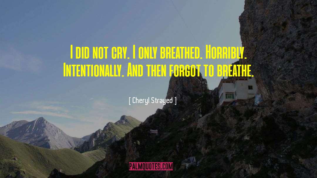 Cheryl Strayed Quotes: I did not cry. I
