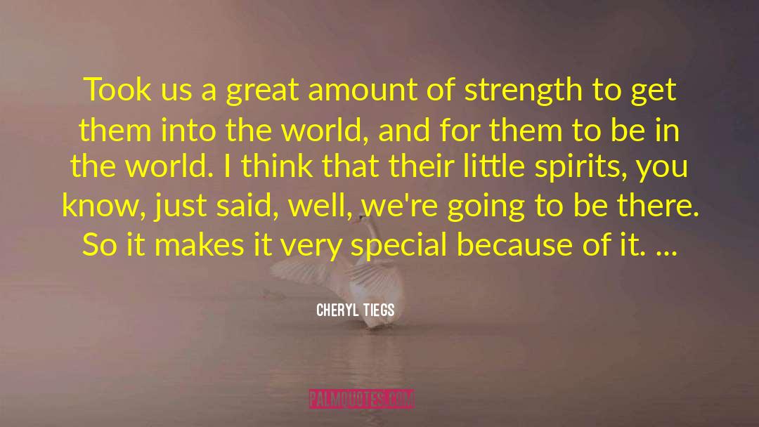 Cheryl Tiegs Quotes: Took us a great amount