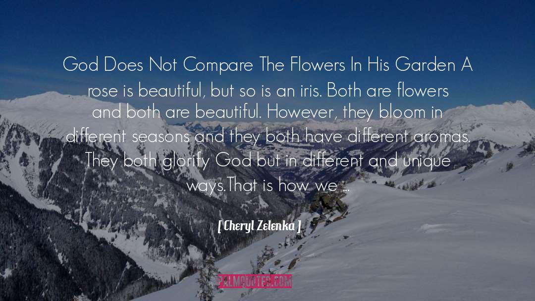 Cheryl Zelenka Quotes: God Does Not Compare The