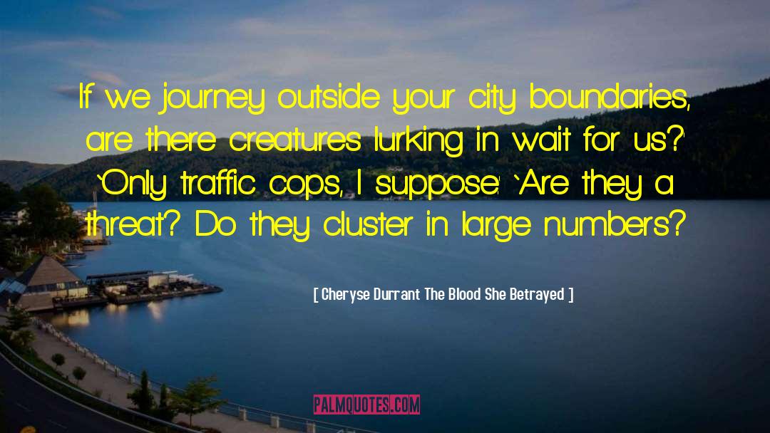 Cheryse Durrant The Blood She Betrayed Quotes: If we journey outside your