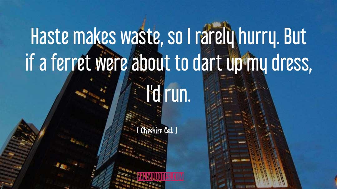 Cheshire Cat Quotes: Haste makes waste, so I