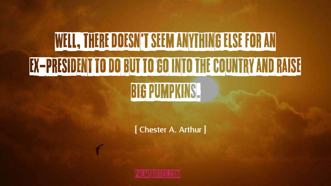 Chester A. Arthur Quotes: Well, there doesn't seem anything
