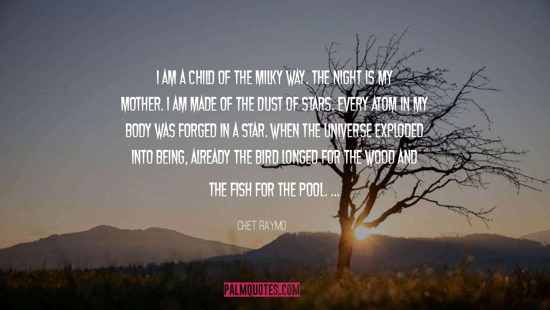 Chet Raymo Quotes: I am a child of