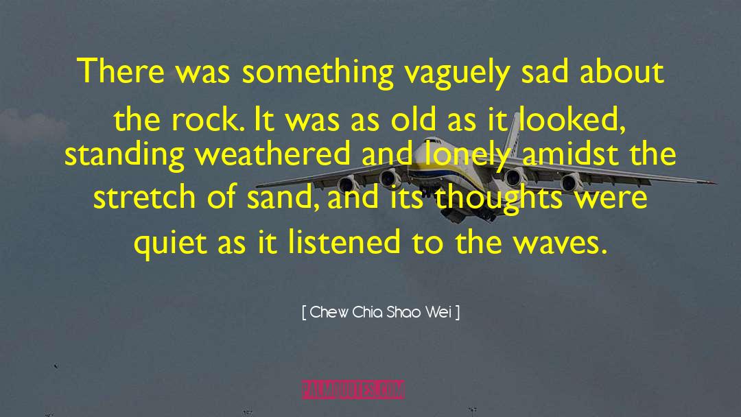 Chew Chia Shao Wei Quotes: There was something vaguely sad