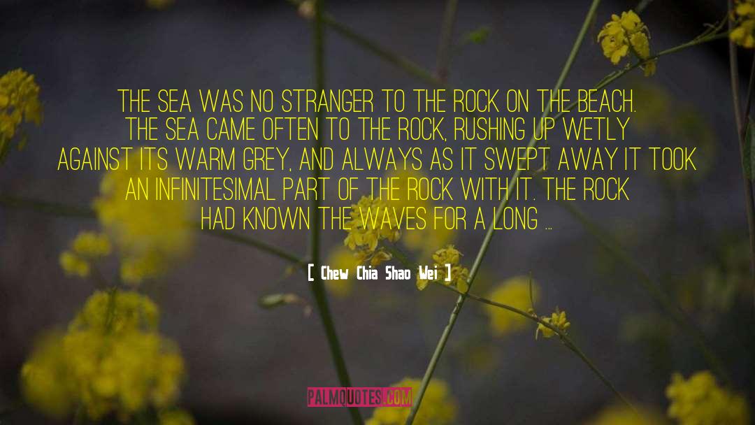 Chew Chia Shao Wei Quotes: The sea was no stranger