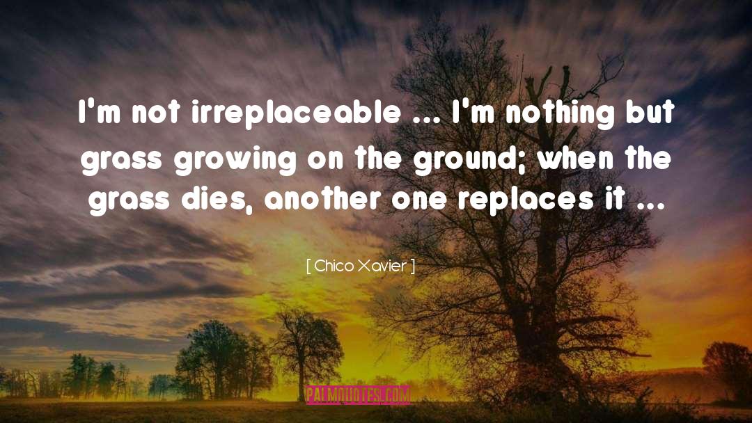 Chico Xavier Quotes: I'm not irreplaceable ... I'm