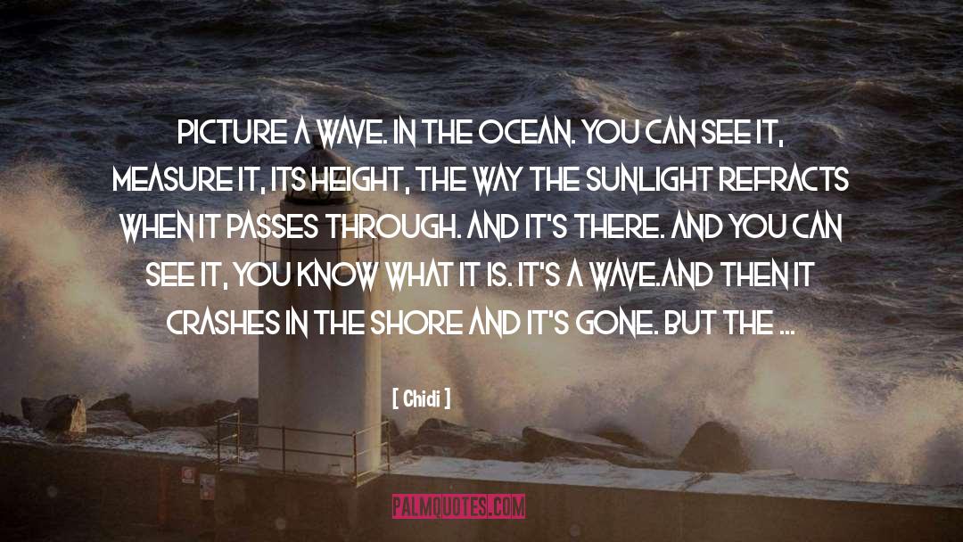 Chidi Quotes: Picture a wave. In the