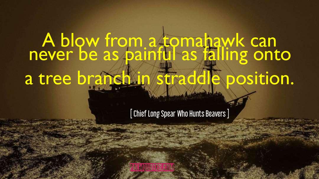 Chief Long Spear Who Hunts Beavers Quotes: A blow from a tomahawk