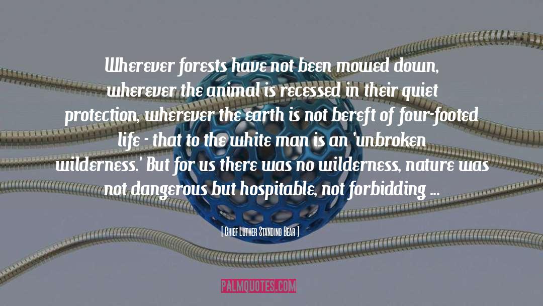 Chief Luther Standing Bear Quotes: Wherever forests have not been