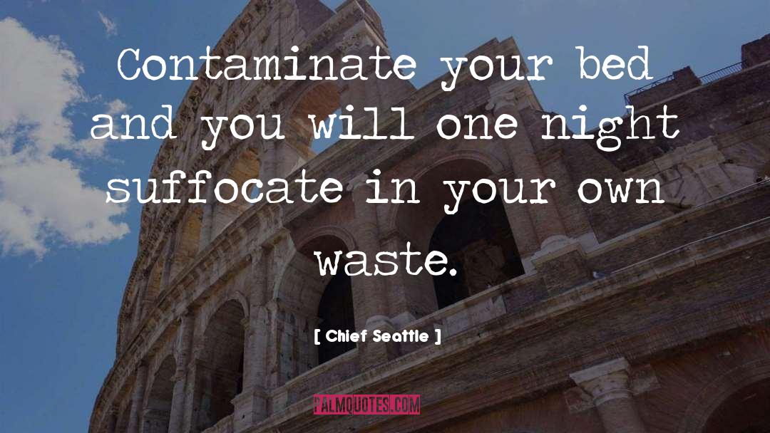 Chief Seattle Quotes: Contaminate your bed and you