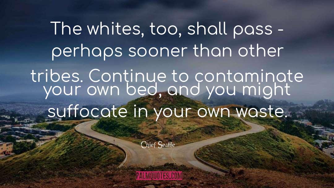 Chief Seattle Quotes: The whites, too, shall pass