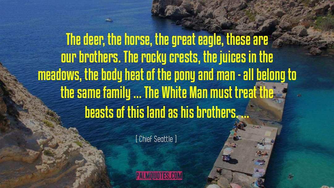 Chief Seattle Quotes: The deer, the horse, the