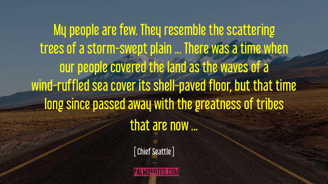 Chief Seattle Quotes: My people are few. They