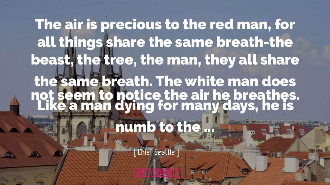 Chief Seattle Quotes: The air is precious to