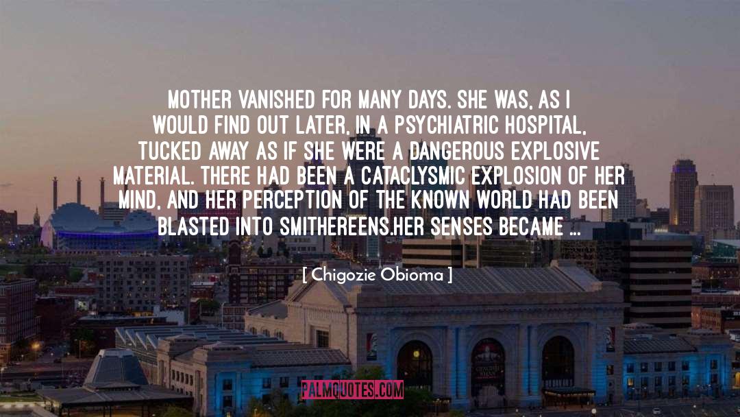 Chigozie Obioma Quotes: Mother vanished for many days.