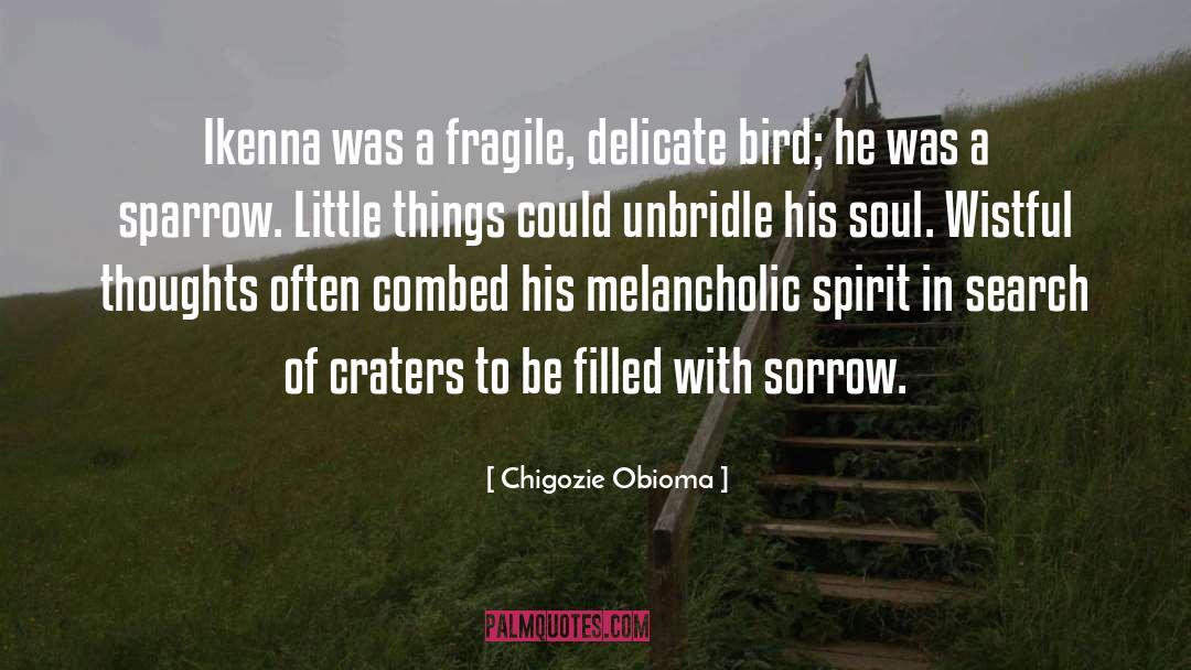 Chigozie Obioma Quotes: Ikenna was a fragile, delicate