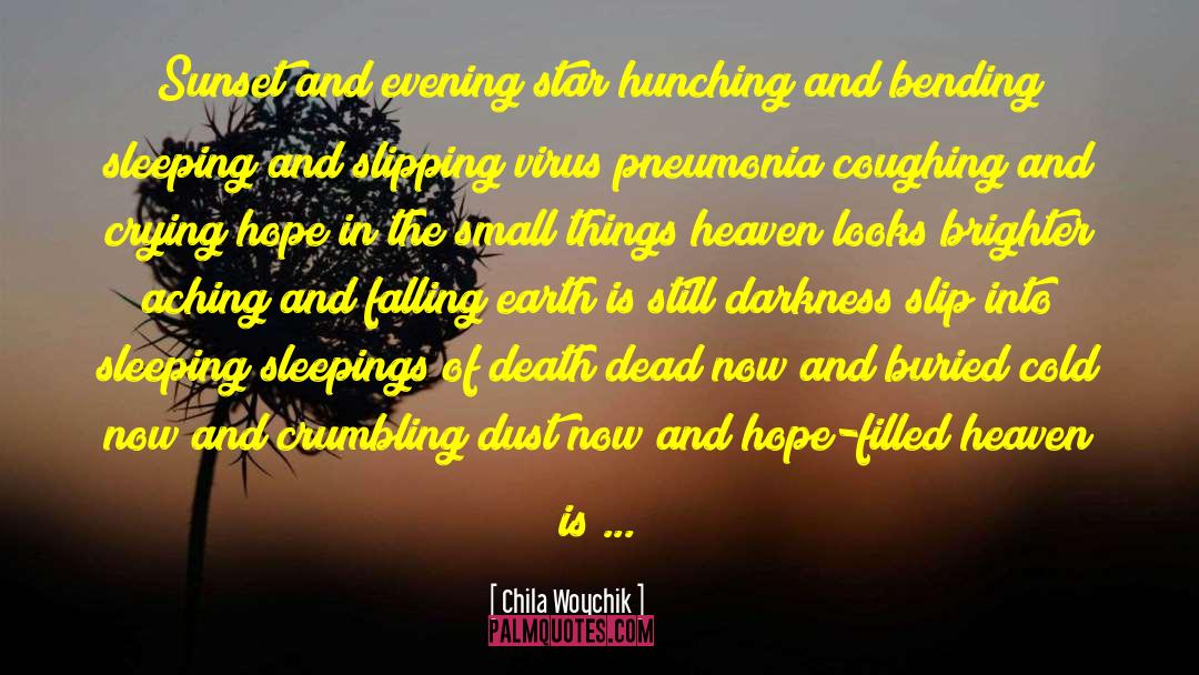 Chila Woychik Quotes: Sunset and evening star hunching