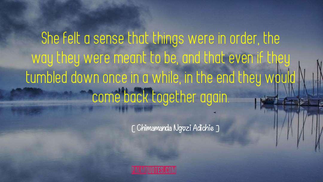 Chimamanda Ngozi Adichie Quotes: She felt a sense that