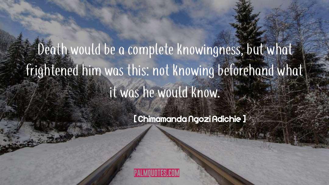 Chimamanda Ngozi Adichie Quotes: Death would be a complete