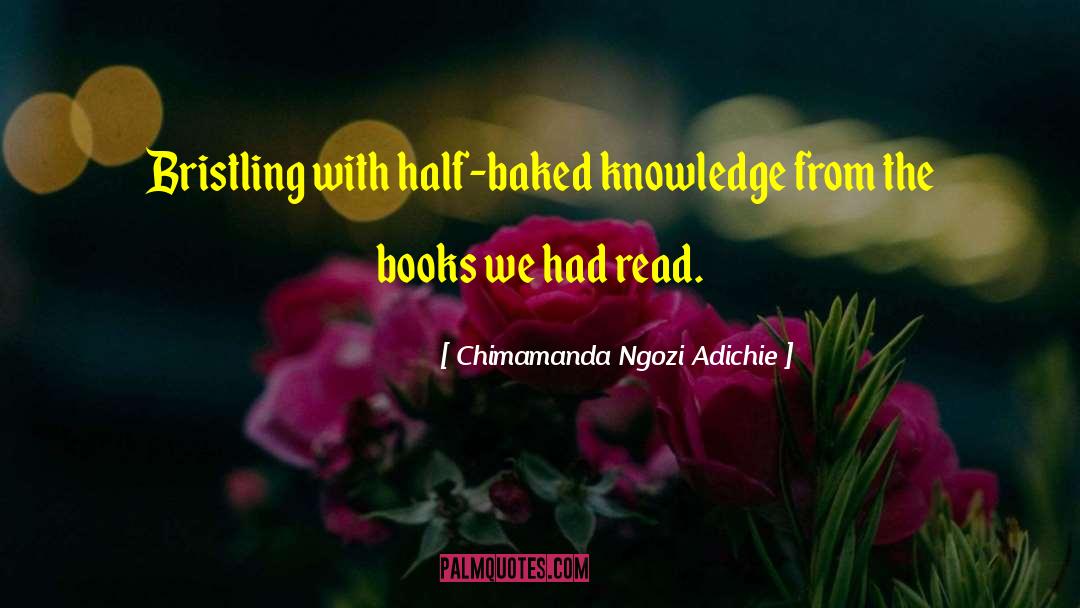 Chimamanda Ngozi Adichie Quotes: Bristling with half-baked knowledge from