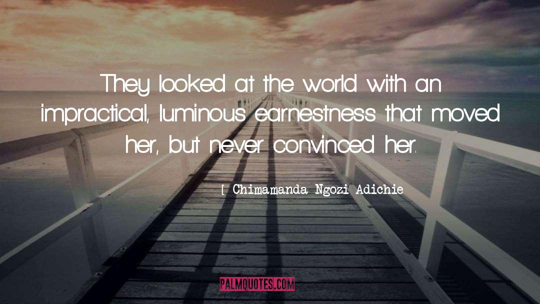 Chimamanda Ngozi Adichie Quotes: They looked at the world