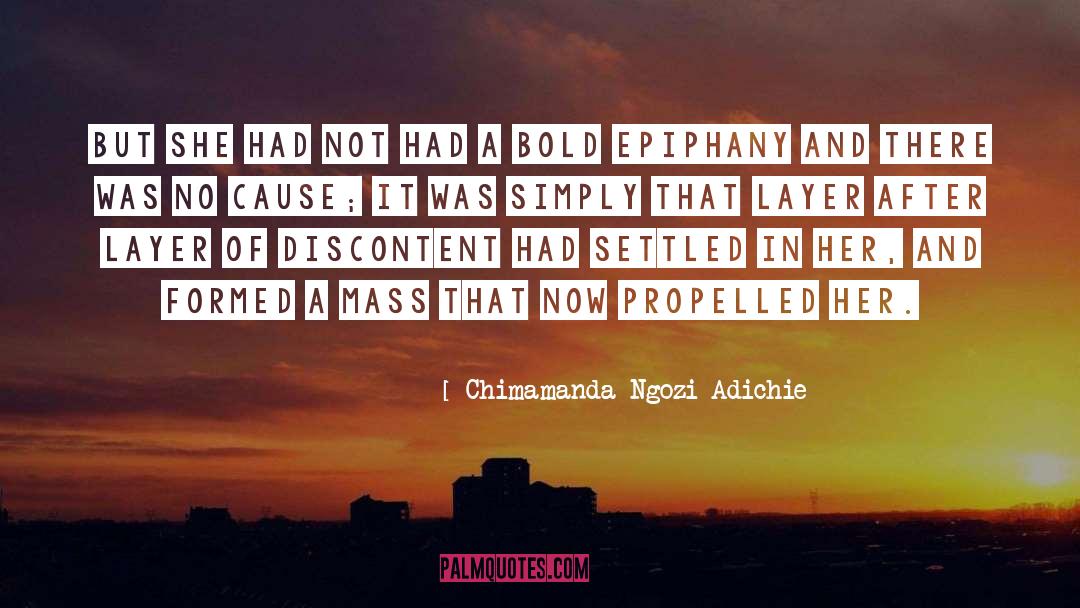Chimamanda Ngozi Adichie Quotes: But she had not had