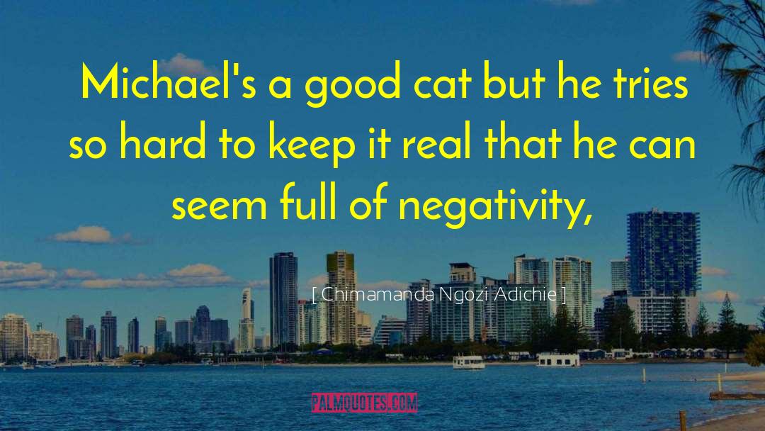 Chimamanda Ngozi Adichie Quotes: Michael's a good cat but