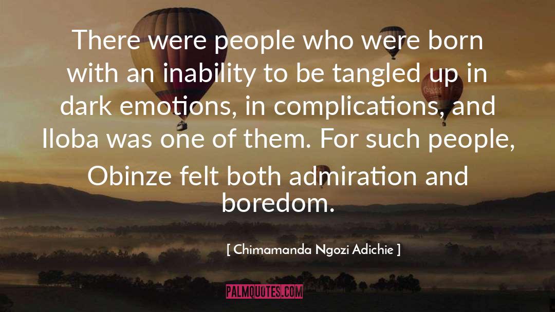 Chimamanda Ngozi Adichie Quotes: There were people who were