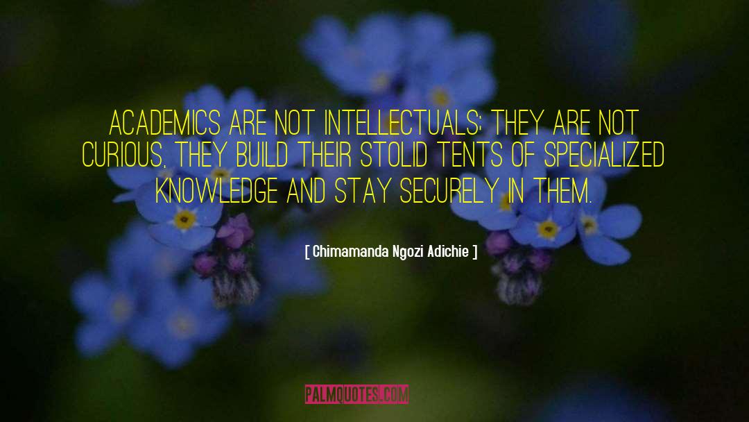 Chimamanda Ngozi Adichie Quotes: Academics are not intellectuals; they