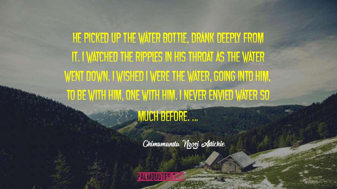 Chimamanda Ngozi Adichie Quotes: He picked up the water