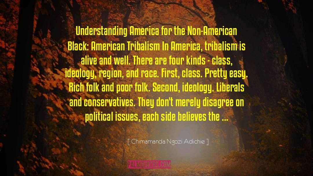 Chimamanda Ngozi Adichie Quotes: Understanding America for the Non-American